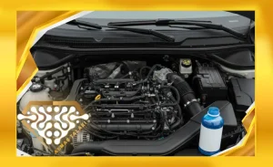 مزایای استفاده از مکمل ضد یخ